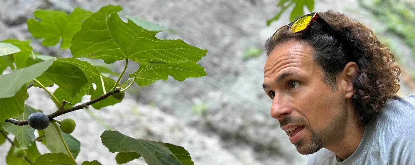 George contemplating aa fig tree in Greece